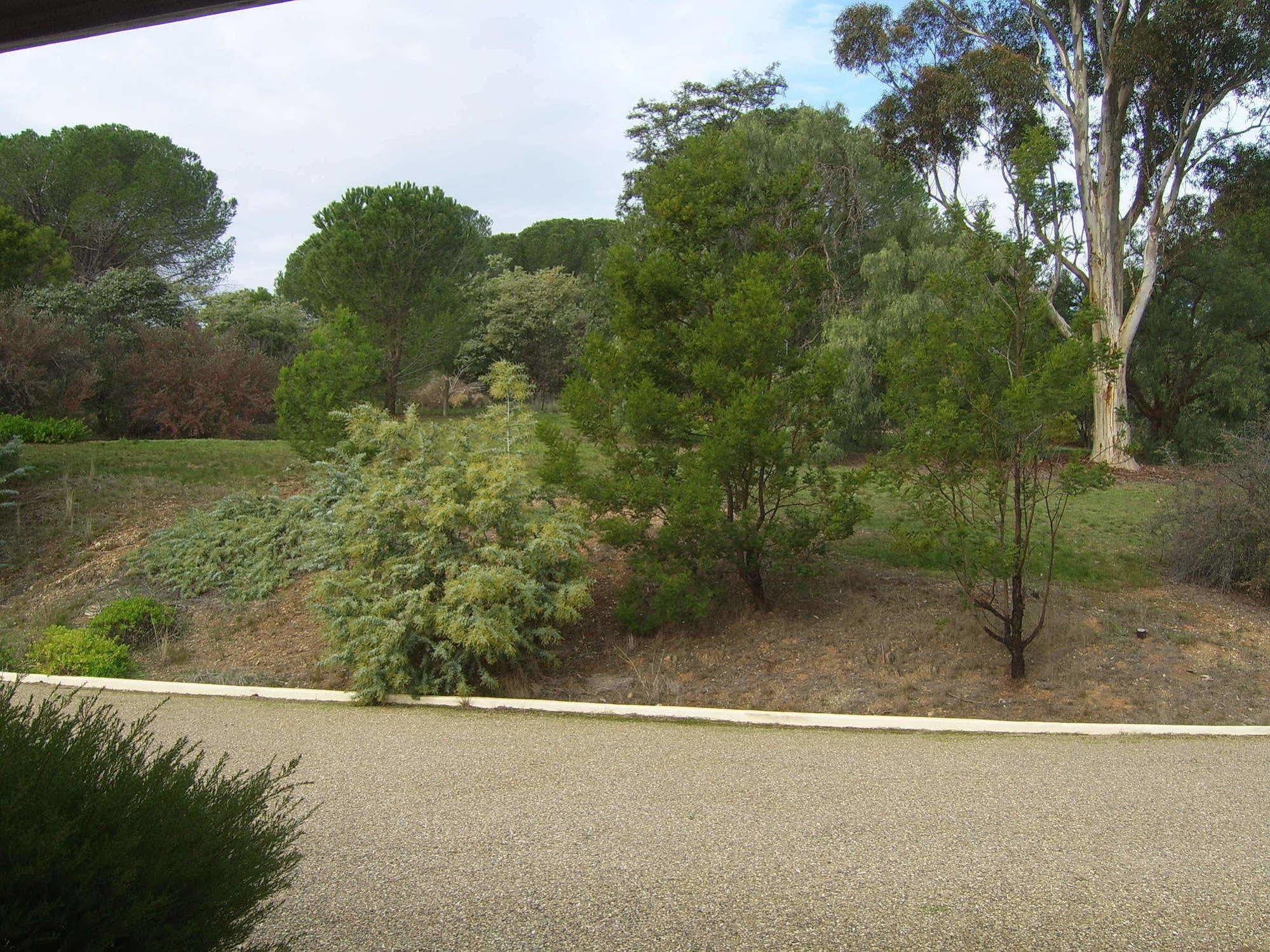 Garden Motor Inn Gundagai Esterno foto