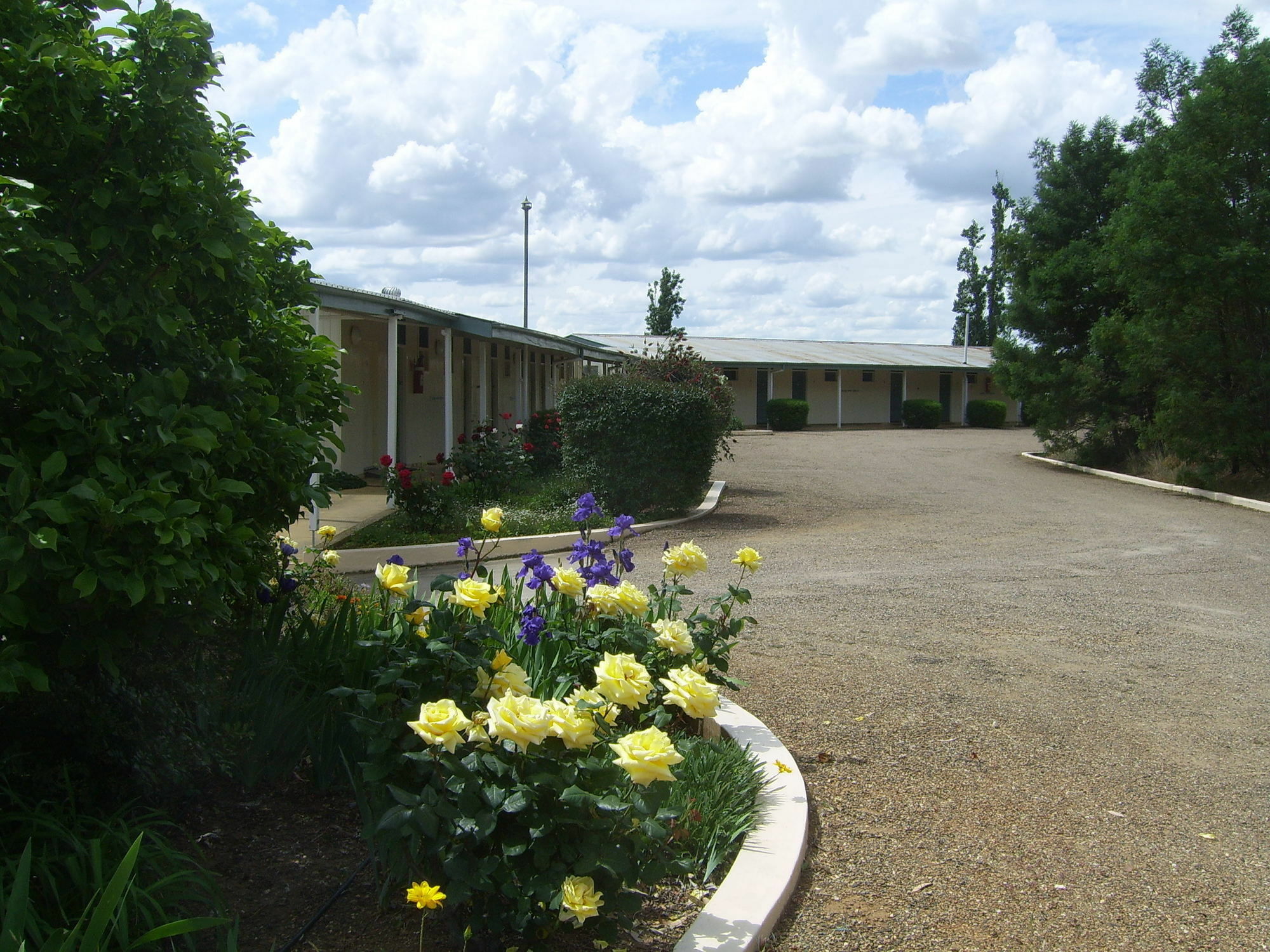 Garden Motor Inn Gundagai Esterno foto